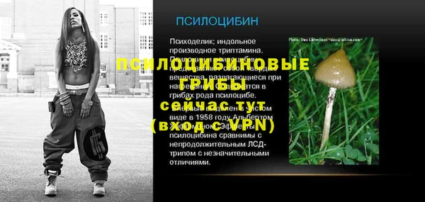 ГАЛЛЮЦИНОГЕННЫЕ ГРИБЫ Балабаново