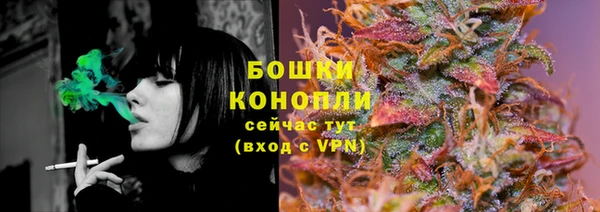 ГАЛЛЮЦИНОГЕННЫЕ ГРИБЫ Балабаново