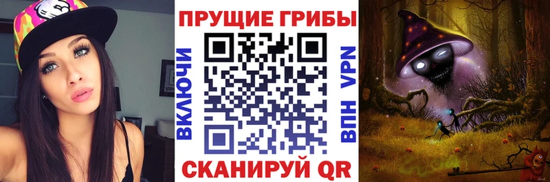 Псилоцибиновые грибы ЛСД  сколько стоит  Вольск 